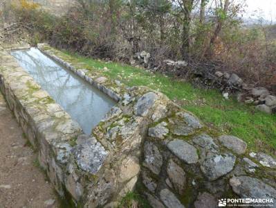 Ruta de los Castaños, Rozas de Puerto Real;senderismo selva de irati rutas por riaza viajes marzo e